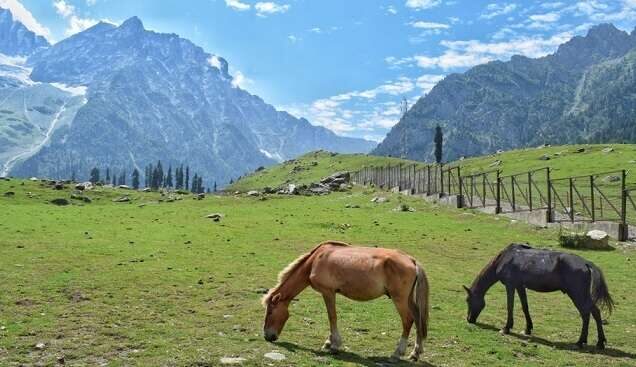 Sonmarg