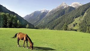 doodpathri-tours-packages