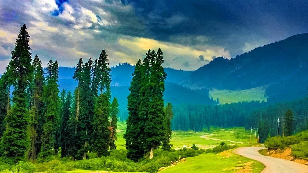 scenery